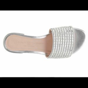 Lightly worn- Flat sandals from Chinese Laundry